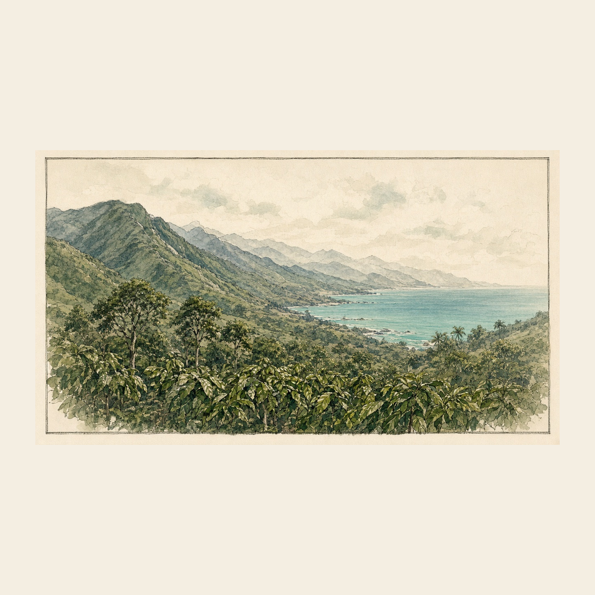 Valle di Ocumare de la Costa tra montagne e mare
